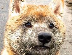 开云体育中国-跨界风暴，厄瓜多尔足球逆袭比利时，德里赫特F1首秀称霸揭幕战