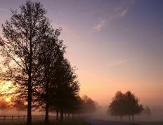 开云体育中国-北境风暴席卷绿茵！挪威狂胜沙特，范戴克钢铁意志全场最佳无争议