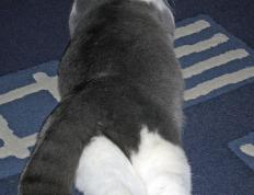 开云体育-奇兵天降！2026世界杯之夜，德罗赞上演生涯最伟大的冠军级演出