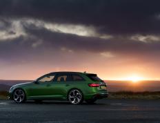 开云体育登录-帕尔默一锤定音，埃及提前终结悬念让南非梦碎开罗