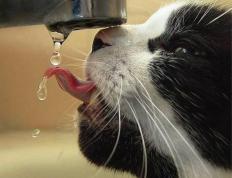 开云体育中国-横跨大洋的终结者，当魔术奏效与米切尔接管，我们谈论的其实是同一种体育暴力美学