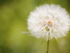 开云体育官网-绿衫狂潮席卷天山！拉梅洛决胜三分钟成关键先生