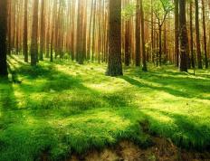 开云体育平台APP-范弗利特爆发助尼克斯大胜深圳队，跨洲对决彰显NBA实力