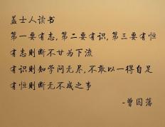 开云体育app-战术铁幕与神兽苏醒，凯尔特人绞杀黄蜂，西亚卡姆引爆欧冠—现代篮球的双面镜