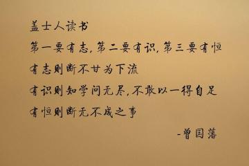 开云体育app-战术铁幕与神兽苏醒，凯尔特人绞杀黄蜂，西亚卡姆引爆欧冠—现代篮球的双面镜