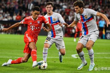 开云体育入口-伊布爆发，奥地利逆转哥斯达黎加