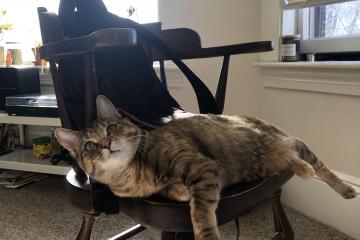 开云平台-雷霆贯穹顶，压哨定乾坤 记西决史诗之战