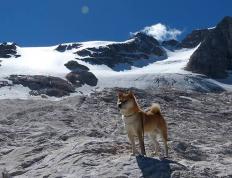 开云体育-戈贝尔制胜表现引领开拓者碾压骑士，内线巨塔铸就酣畅大胜