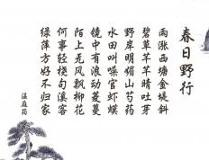 开云体育平台APP-欧冠暗夜，克瓦拉茨赫利亚的利剑与意志