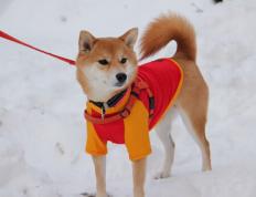 开云体育-闪耀欧洲！黄喜灿双响助莱比锡力克那不勒斯