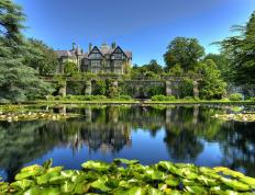 开云体育在线-封锁与爆发，压力之下，强者的两种生长姿态