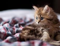 开云体育-新疆魔棒一挥节奏指针停摆，克莱化身关键先生施下绝杀咒语