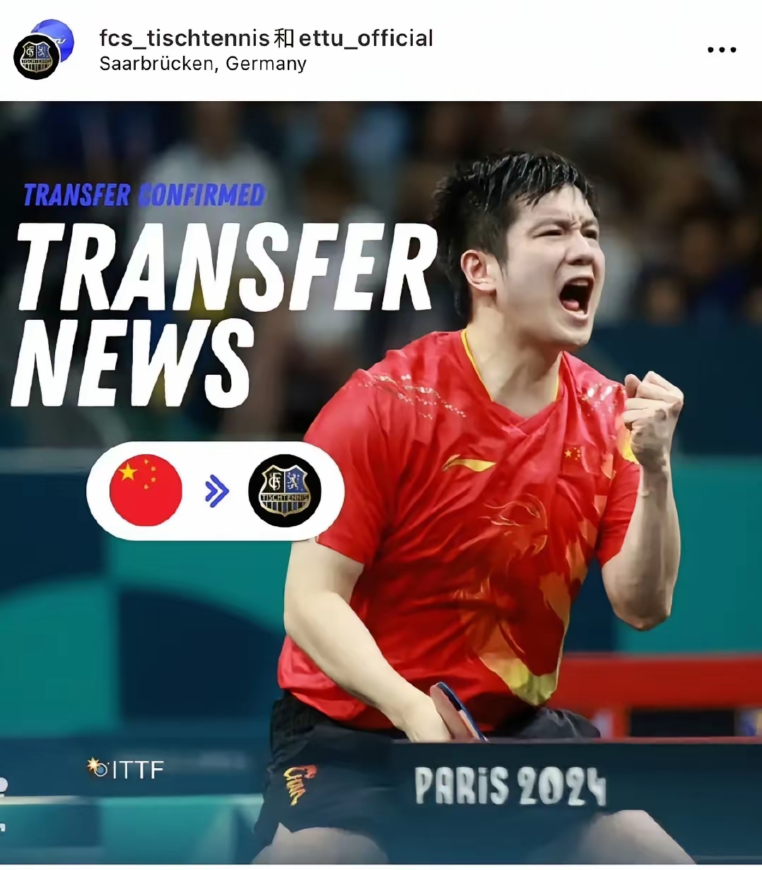 开云体育官方网站-比利时乒乓球队鏖战波兰乒乓球队，樊振东打破历史纪录的简单介绍