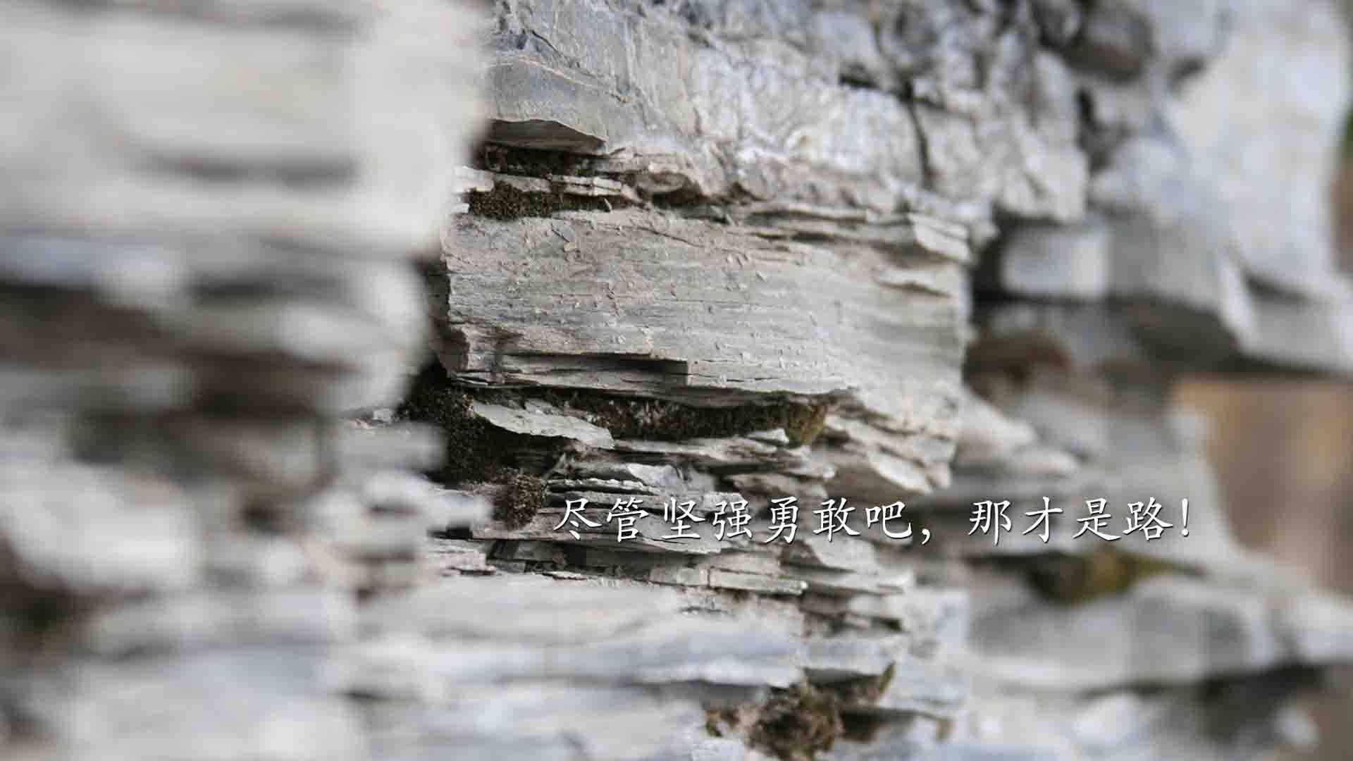 开云体育平台APP-铁血意志!悬崖边的北京队终亮剑,世界排名争夺战焦点战粉碎吉林