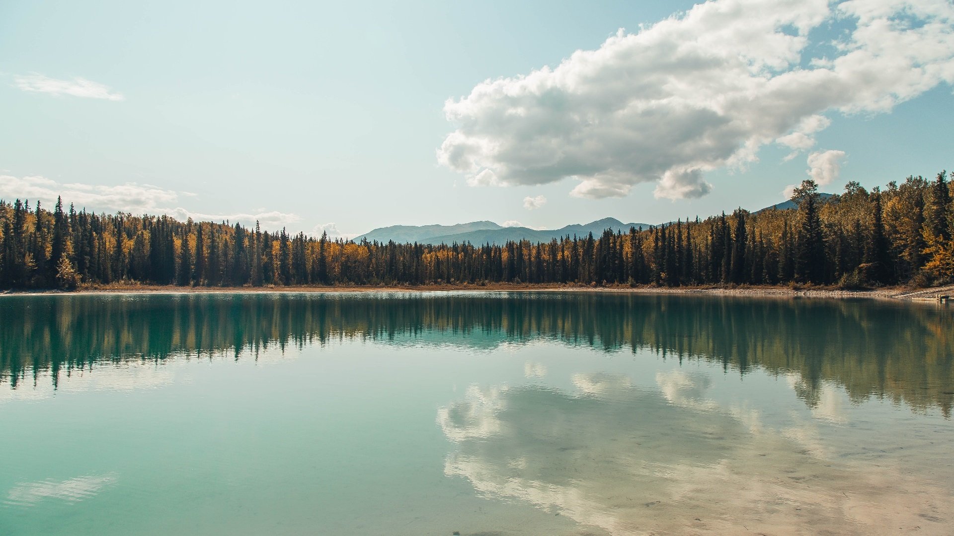 开云体育下载-委内瑞拉旋风席卷圣西罗，卡拉斯科欧冠夜独舞定江山