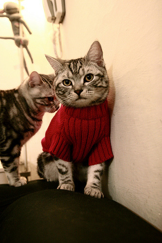 开云体育下载-红牌边缘的巨人，库尔图瓦，悬崖上跳出的胜利之舞