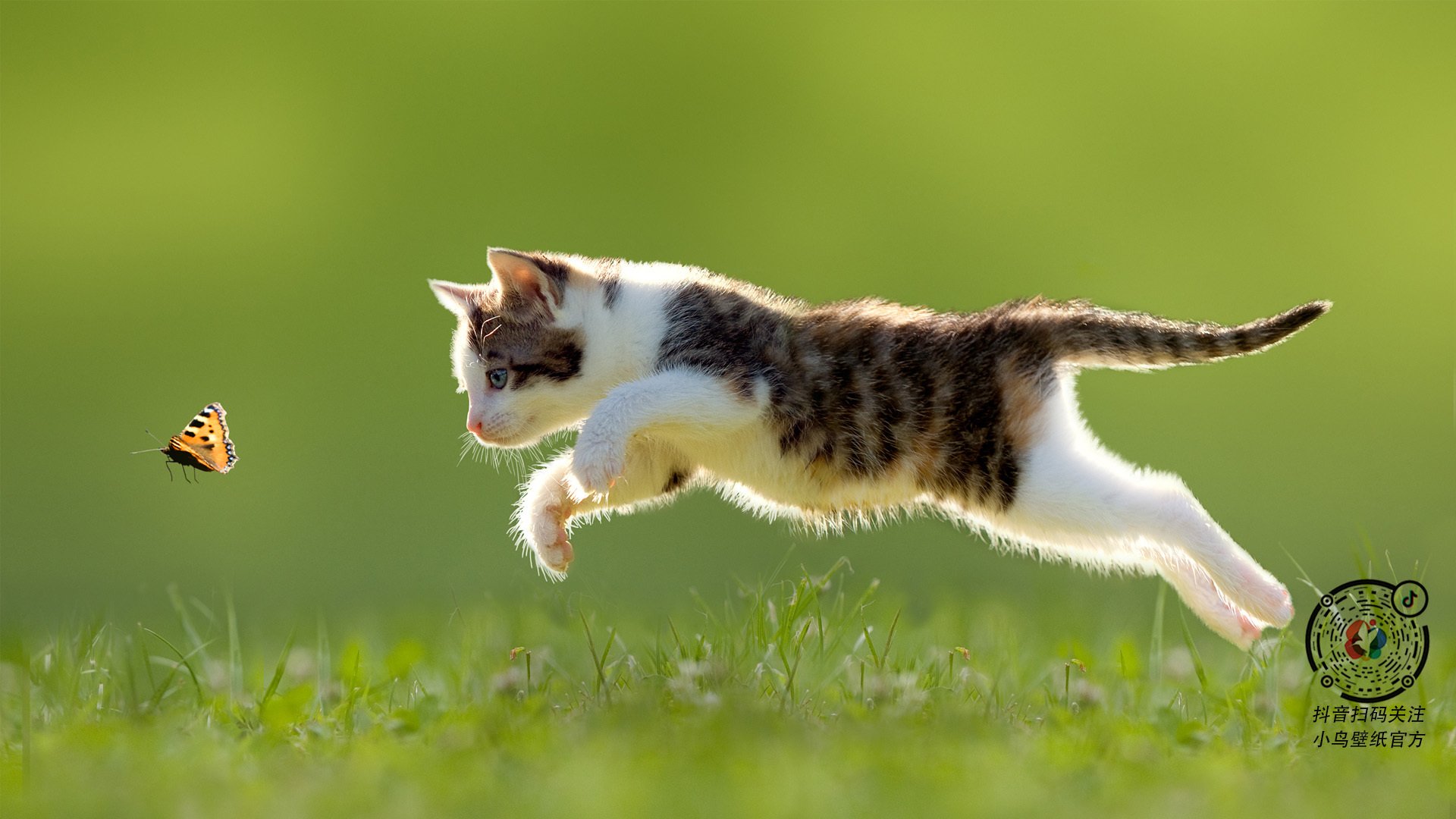 开云体育平台APP-魔术压制奇才，拉文在2026世界杯接管比赛