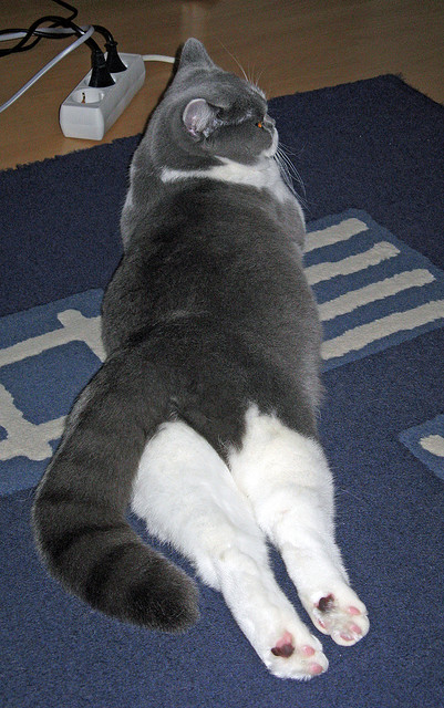 开云体育-奇兵天降!2026世界杯之夜,德罗赞上演生涯最伟大的冠军级演出