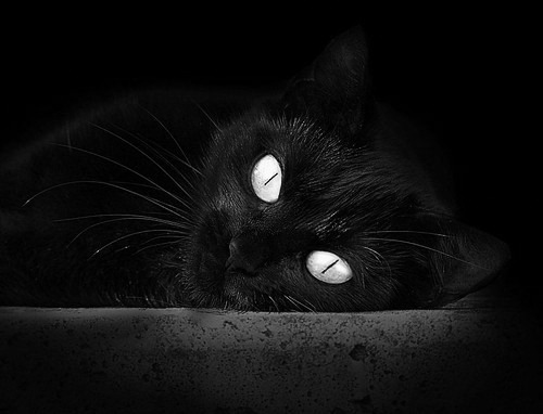 开云体育下载-F1年度争冠焦点战,奇才终结马刺式的速度与荣耀