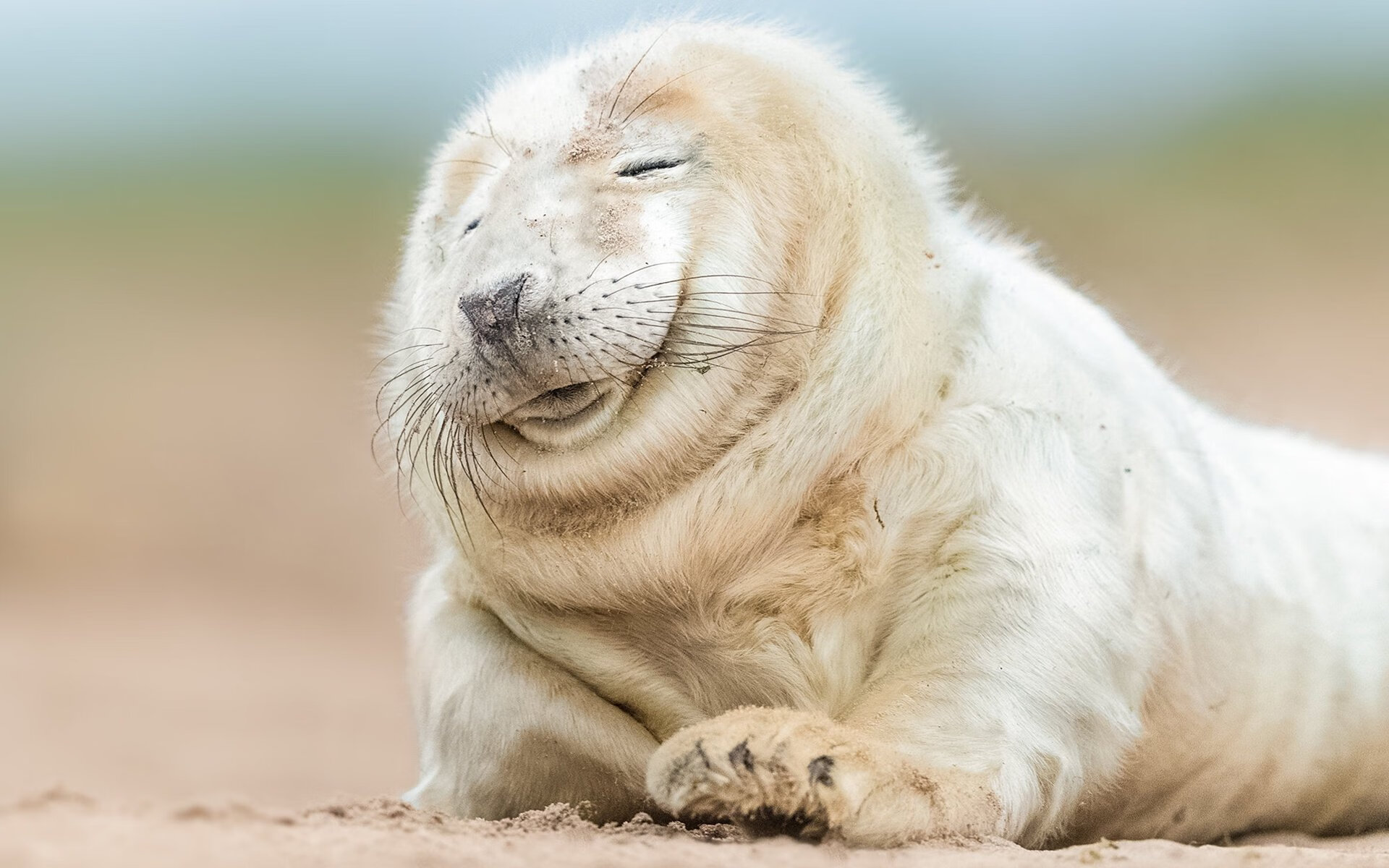 开云体育入口-冷门与神迹,横跨东西方的篮球传奇之夜