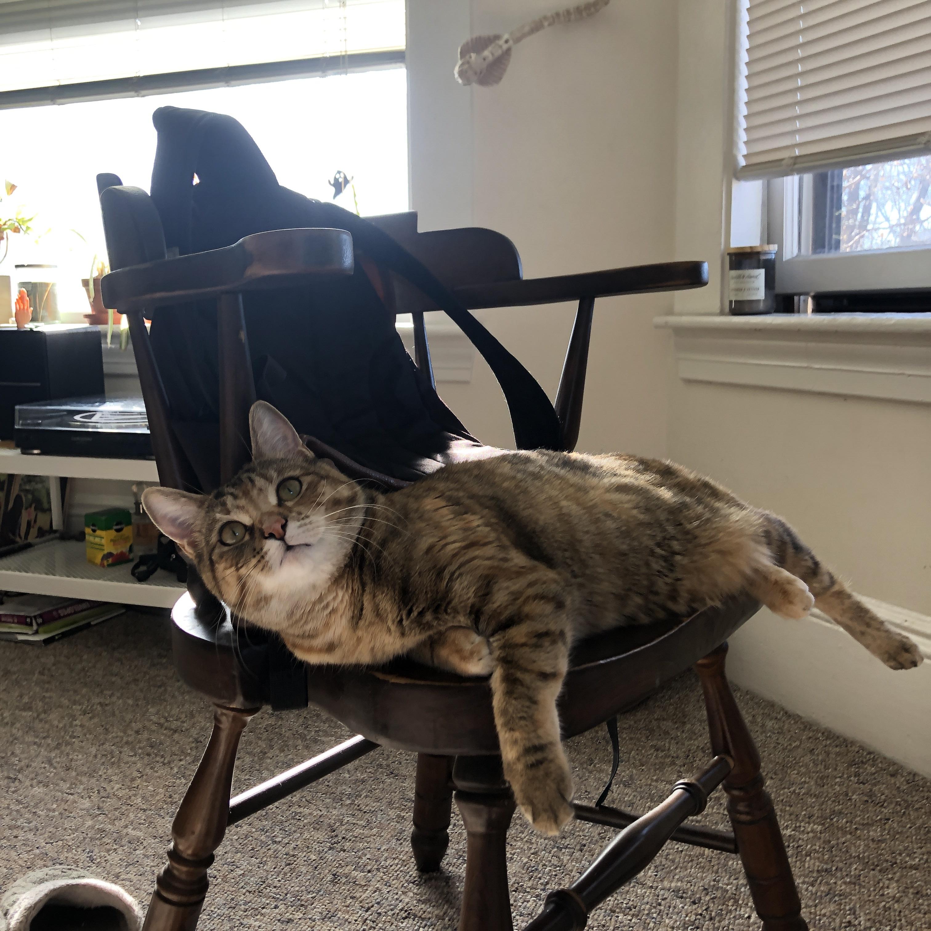 开云平台-雷霆贯穹顶，压哨定乾坤 记西决史诗之战