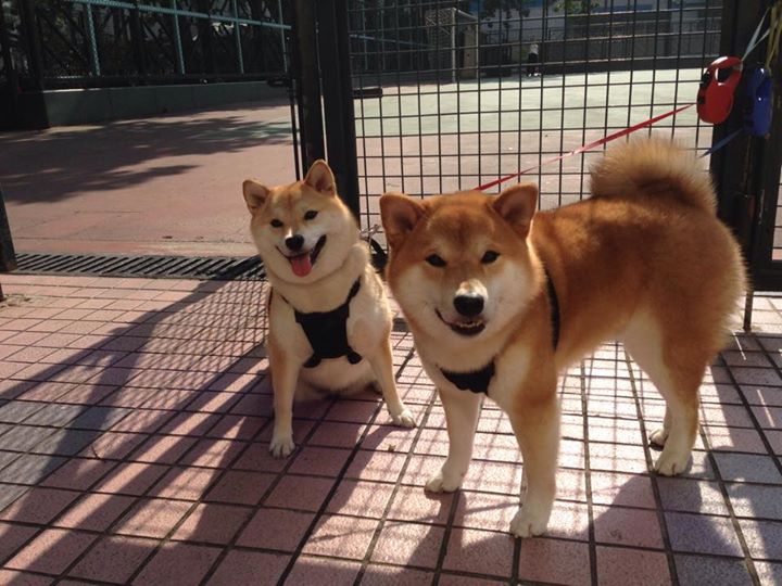 开云体育官网-奥斯陆风雪夜，加拿大3-1战术压制挪威，克瓦拉茨赫利亚解锁俱乐部50球里程碑