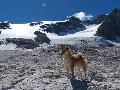 开云体育-戈贝尔制胜表现引领开拓者碾压骑士，内线巨塔铸就酣畅大胜
