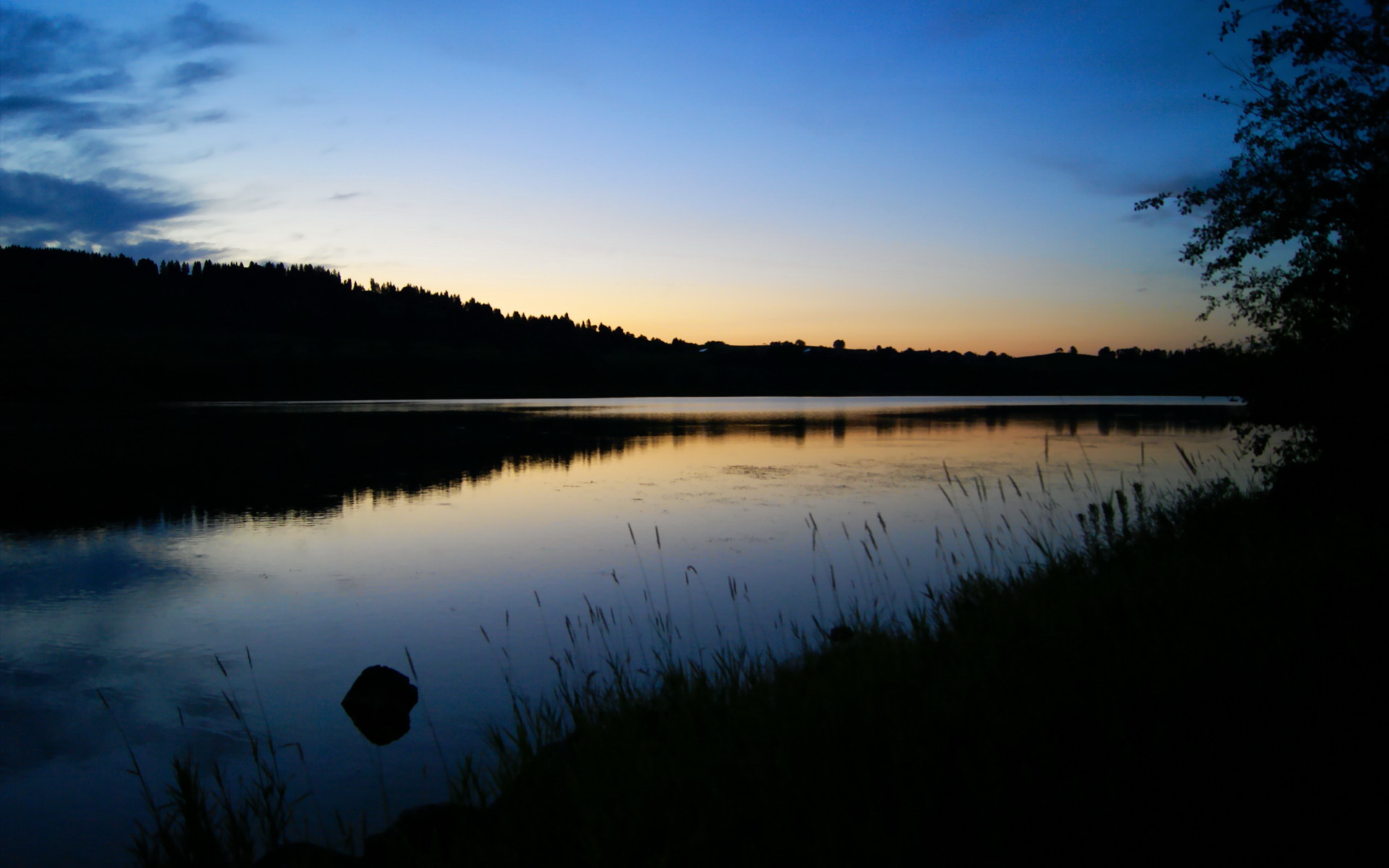 开云体育APP下载-硬仗之王塔图姆独砍40分难救主，上海队加时险胜凯尔特人创历史