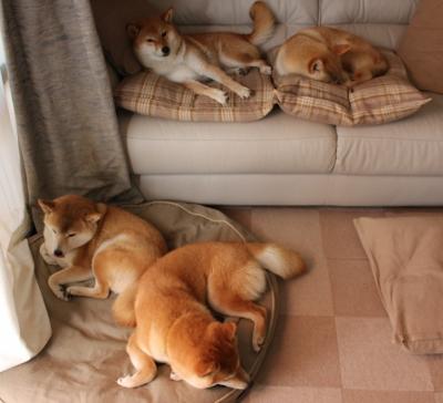 开云体育在线-从绝望到救赎,詹姆斯终场觉醒,猛龙铁血防守碾碎国王